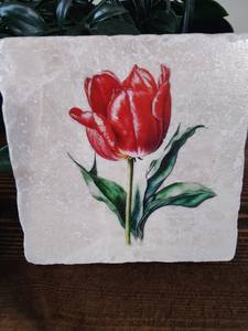 Sous-verres à fleurs de printemps, sous-verres rouges à motif floral, cadeau pour les amateurs de thé, de café et de gin - Product Image 4