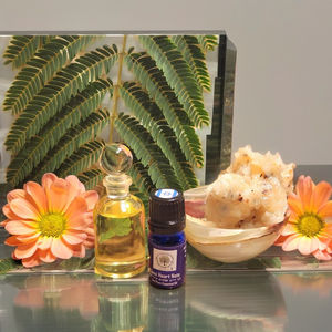 100% Pure Natural Elemi Essential Oil Pharma Grade Tamaños de embalaje al por mayor 25 Kg y 180 Kgs - Product Image 1