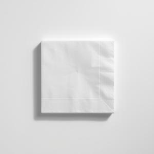 Serviettes jetables écologiques pour la restauration, les événements en plein air et les services à emporter - Product Image 1