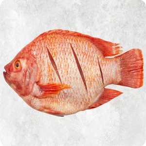 ปลาทิลาเปียแดงแช่แข็งทั้งตัว คุณภาพเยี่ยม มีจำหน่ายแล้วสำหรับผู้ซื้อระหว่างประเทศ พร้อมบริการจัดส่งที่เชื่อถือได้และราคาที่เป็นธรรม - Product Image 1