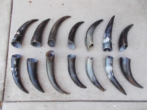 Paire de cornes de bison polies pour décoration murale, design Art Déco écologique, grandes tailles 10 et 18 pouces, pour mariage, anniversaire, Nouvel An, nouveauté - Product Image 4