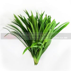 Feuilles de pandan pour la vente en gros du Vietnam/feuilles de citronnelle sèches/feuilles de citronnelle séchées pour l'exportation - Product Image 3