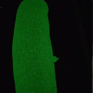 Pintura de Radium de Alta Resistencia para Almacenes, Pintura de Radium para Salidas de Emergencia en Complejos Logísticos al Mejor Precio - Product Image 1