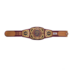 Ceinture de championnat de lutte avec logo personnalisé, plaques métalliques de haute qualité, vente en gros, ODM, nouvelle arrivée 2026 - Product Image 3