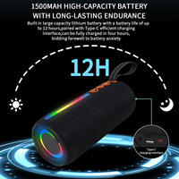Enceinte Boombox PRO6, son extrêmement puissant, camping, plage, voyage, microphone, karaoké, radio FM, grosse batterie, prix de gros avantageux
