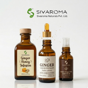 Pure Ginger Liquid Concentrate for Bulk Buyers, Perfect for Flavor Enhancement, Food Industry Applications & Beverage Production - Product Image 5
