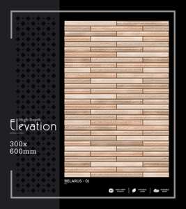 Azulejo de Pared de Porcelana de Alta Gama, 300x600mm, 30x60cm, 12x24, Acabado Mate, Superficie Texturizada, Azulejo de Pared Interior de Primera Calidad - Product Image 1