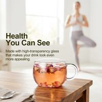 Grande tasse à thé en verre avec poignée 330 ml / 11,27 oz, non toxique, sans BPA, en borosilicate, pour le fitness, les herbes, le thé détox, l'eau bien-être