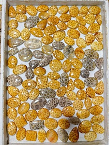 Lot de pierres naturelles agatifiées de corail fossile, cabochons à motifs rares, pierres précieuses en vrac pour la fabrication de pendentifs, bagues et bijoux - Prix de gros - Product Image 2
