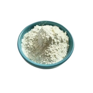 Extracto de Frijol Blanco Premium en Polvo, Natural y Puro, Phaseolus Vulgaris, para Apoyar la Digestión, Exportación de la India a Precio de Mayoreo - Product Image 1