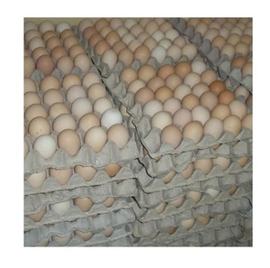 Factory Supply Bulk Wholesale Price Top Quality White / Brown Shell Fresh Table Chicken <b>Eggs</b> Available For Sale - Product Image 1