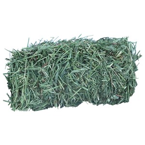 Natural Feed Grade <b>Timothy</b> <b>Hay</b> Fresh Dried High Protein Bulk <b>for</b> Rabbits <b>Guinea</b> <b>Pigs</b> Cattle Horse & Fish 100% - Product Image 1