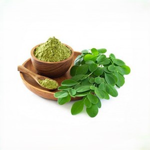 Fine Mesh Moringa Leaf <b>Powder</b> for Instant Drink Mixes with Quick Dissolving Properties and Smooth <b>Texture</b> Quality - Product Image 5
