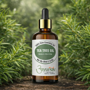 Proveedor de Aceite Esencial de Árbol de Té 100% Puro al por Mayor |   Aceite de Árbol de Té de Grado Cosmético Antibacteriano Natural al por Mayor - Product Image 2