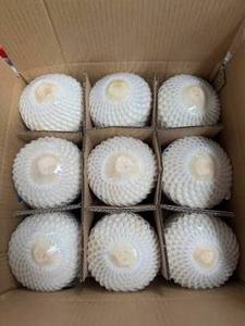เนื้อมะพร้าวอ่อนออร์แกนิคสดใหม่-NICKY - Product Image 6