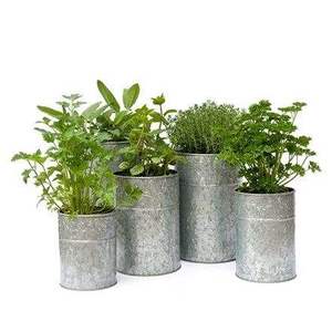 Jardinière galvanisée à base étroite, idéale pour les entrées, les coins intérieurs et la décoration des allées de jardin - Product Image 5