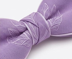 Pajarita Paisley para Hombre, de Poliéster, Formal, para Boda, Fiesta, Negocios, Hecha a Mano, con Lazo, Pajarita de Moda, Venta al por Mayor, Logotipo Personalizado, Precio Bajo - Product Image 6