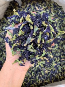 NUEVO: Flor de Guisante Mariposa 100% Orgánica |   Color Azul Profundo - Product Image 4