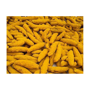 Racine de curcuma fraîche entière, épaisse et allongée, épice indienne, à haute teneur en curcumine, herbe unique - Product Image 1