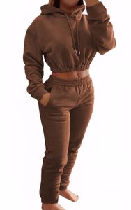 Ensemble de survêtement tendance pour femme : sweat-shirt court et pantalon de jogging – Commande en gros - Product Image 6