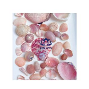 BEST SELLER Eco Friendly Seashell Decor | Complete Natural Handcrafted Shell Accessories Set - Product Image 1