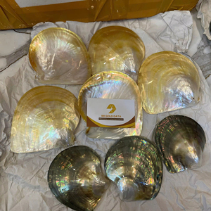 Pearl Of Mother Shell Iridescent Vietnam Material For Handicraft Inlay Furniture Decoration Plate Bulk Supply - Product Image 1