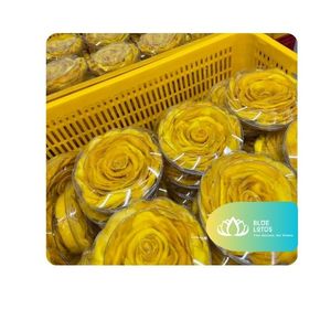 [BEST SELLER] Mangues séchées moelleuses au goût riche de mangue, idéales pour les réunions de famille et le plaisir quotidien – Vietnam - Product Image 1