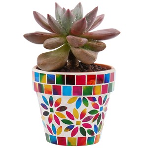 Wholesale Multicolor Jodhpur Wood <b>Planter</b> - Unique Handcrafted Flower Pot - Product Image 2