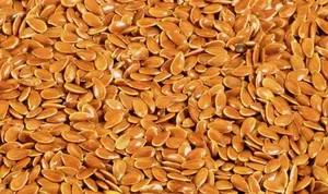 เมล็ดแฟลกซ์ ชื่อทางพฤกษศาสตร์คือ Linum Usitatissimum - Product Image 3