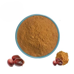 Poudre d'Aguaje de qualité supérieure, qualité alimentaire, pure et naturelle, issue de Mauritia flexuosa, pour smoothies et aliments fonctionnels - Product Image 1
