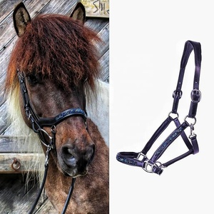 Cabestro ecuestre de cuero duradero de calidad superior con diseño de cristal Tamaño y color personalizables al mejor precio - Product Image 3