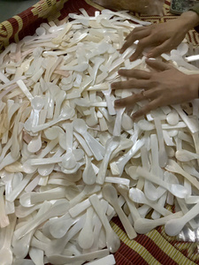 Gold Plated Handle Mother of Pearl Spoon | 8cm Luxury Caviar Spoon | Iridescent <b>Shell</b> Mini Spoon | Elegant Wedding Favor - Product Image 6