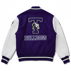 Chaqueta Varsity Unisex Personalizada de Alta Calidad ODM OEM, Cuello Alto, Lona, Tela Premium, Ropa Exterior de Béisbol para Otoño, Ropa Urbana - Product Image 2