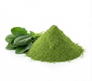 Poudre d'épinards séchée par pulvérisation 100 % pure, biologique, sans OGM, extrait de feuilles, excellente solubilité dans l'eau pour les nutraceutiques santé en gros - Product Image 2