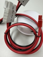 Câble de raccordement en cuivre plat 2 fils, calibre 12, gaine PVC, SP30A, rouge et noir, 3,0 mm, 50-100°C, pour connecteur de câble d'alimentation CC, 300V, basse tension