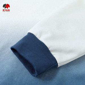 Sweat à capuche pour homme Ryan Pro Gear, tissu confortable et respirant, tricoté avec logo personnalisé, col à capuche - Product Image 6