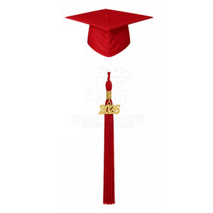 Conjunto de toga y birrete de graduación de color personalizado de calidad premium para programas de graduación de institutos educativos y ceremonias escolares - Product Image 3