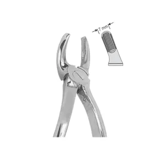 Instrumento quirúrgico dental de patrón inglés estándar FOCEPS de EXTRACCIÓN para centrales superiores y terceros molares superiores - Product Image 1