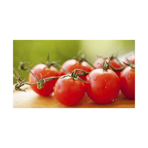 Tomates Frescos al por Mayor - Product Image 1