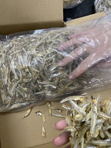 PESCADO ANCHOVÍA SECA DE VIETNAM/PESCADO ANCHOVÍA SECA NATURAL DE ALTA CALIDAD - Product Image 4