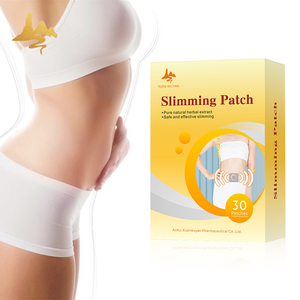 De Wegwerp 100% Natuurlijke Kruidengemberbuik Slanke Pleister Van De Servies Fabriek Voor Gezondheidszorg Voor Gewichtsverlies - Product Image 1