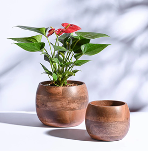 Macetas de Madera Decorativas para Jardín y Hogar, Macetas Rústicas para Interiores, Macetas de Madera Más Vendidas - Product Image 4