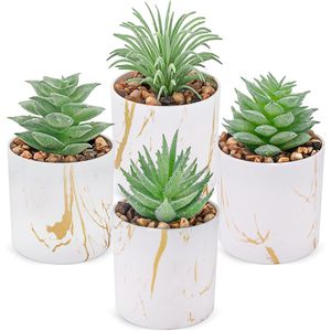 Set di 4 Piante Succulente Artificiali Verdi per Decorazione Casa e Accessori da Scrivania per Donne - Product Image 1