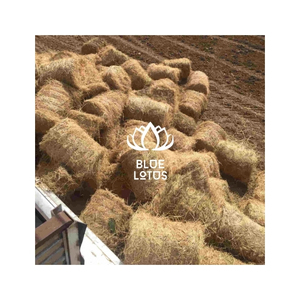 Paja de Arroz de Grado Superior en Rollo, Material Agrícola Seco para Compostaje, Cama para Animales, Proyectos de Manualidades, Embalaje - Product Image 1