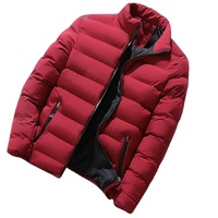 Vestes à capuche en Nylon pour hommes, en gros, léger, chaud, en plumes de canard, Logo personnalisé, noir, hiver