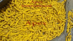 Curcuma Longa en Polvo, Extracto de Especia Haldi - Product Image 2