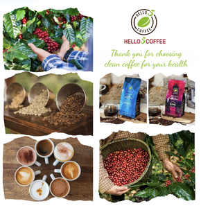 กาแฟบดเวียดนาม เฮลโล 5 คอฟฟี่ รอยัล สปริงไทม์ 70% อาราบิก้า 30% โรบัสต้า สำหรับชงเย็นและกาแฟเย็นผสมนม - Product Image 4