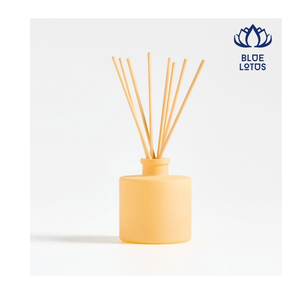 Bâtonnets diffuseurs en rotin naturel TENDANCE, écologiques, pour parfumer les pièces et diffuser des senteurs - Product Image 1