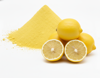 Premium gespraydroogd natuurlijk biologisch citroenfruitsappoeder, vrijvloeiend, 24 maanden houdbaarheid, zuur, goede wateroplosbaarheid, vacuüm verpakt