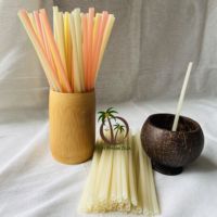 Fabricant de paille de noix de coco vente en gros de paille de riz colorée VIETNAM/paille de riz jetable/pailles à boire écologiques